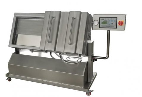傾斜式真空包裝機(jī)DZ600/2SX